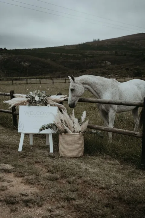 Heather & Brad / Kay & Monty · The Crags — photography by Sharyn Hodges